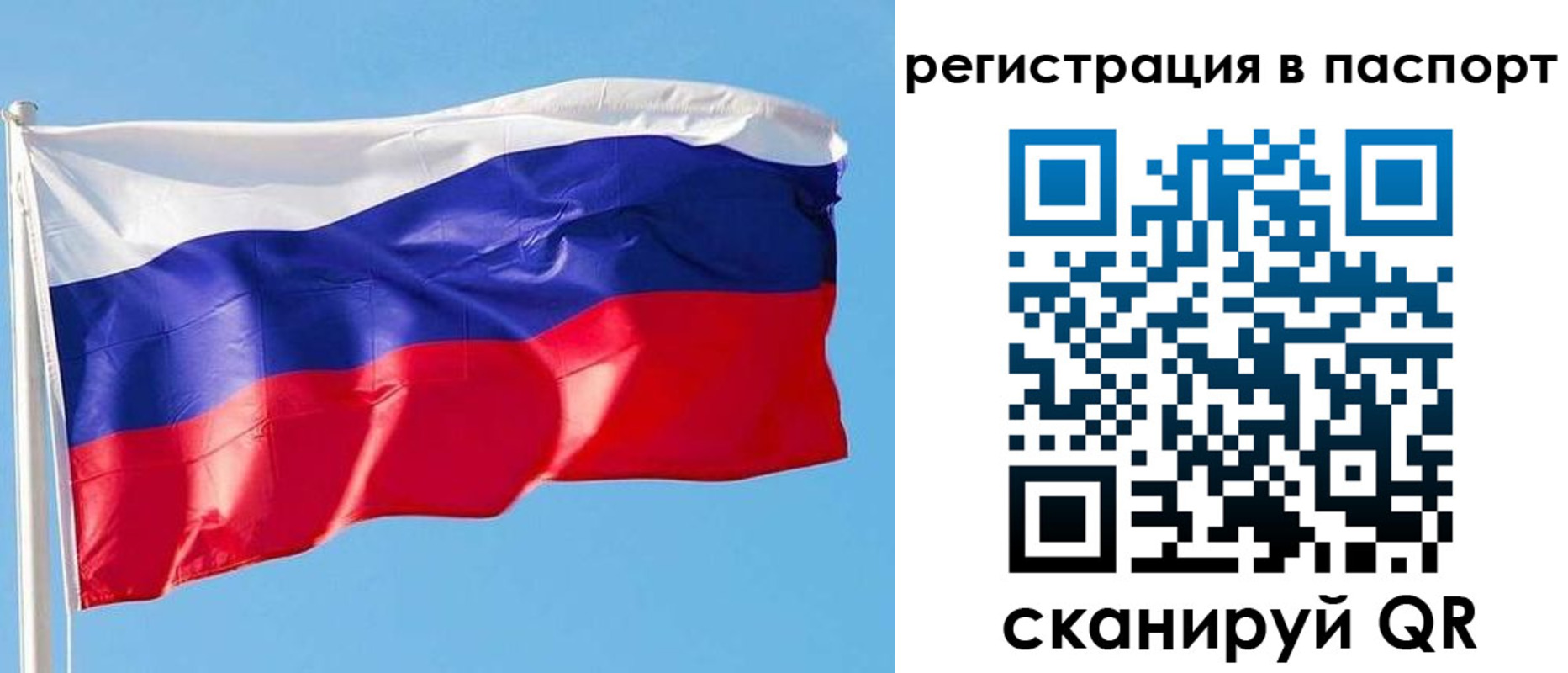 прописка законно в Жирновске